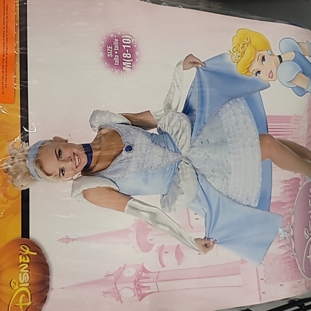 Disney Princess adult Women's Cinderella costume size BLue and white